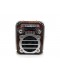 RADIO ECOPOWER BAT/REG/SD/USB/BT/EP-F91
