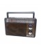 RADIO ECOPOWER EP-F229 - BATERIA - USB - SD - BLUETOOTH